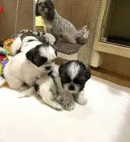 processed/541f2a45-6abb-49dc-b28c-59f2afb2876e/facility/8e520c87-5757-4cfb-9c0e-3baa14f7b6f1