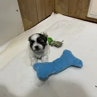 processed/541f2a45-6abb-49dc-b28c-59f2afb2876e/facility/8f228f1c-1633-4693-b63a-df88d43e73a0