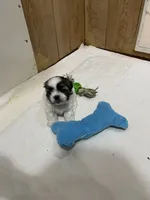 processed/541f2a45-6abb-49dc-b28c-59f2afb2876e/facility/8f228f1c-1633-4693-b63a-df88d43e73a0