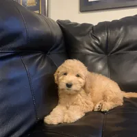 processed/542dd7d7-3870-46ce-8b5b-13cda8e93af5/facility/d37a2a02-2281-4af1-af3d-45529a98720b