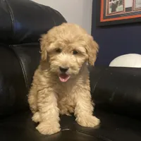 processed/542dd7d7-3870-46ce-8b5b-13cda8e93af5/facility/fb618c45-6a91-4fc7-9657-7ab05e079f65