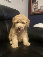 processed/542dd7d7-3870-46ce-8b5b-13cda8e93af5/facility/fb618c45-6a91-4fc7-9657-7ab05e079f65