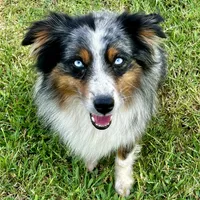 processed/542ede2c-51e9-46d8-b079-f8ab004432c0/facility/1f50f934-4b07-4971-8ab1-b90bbf3ba77d