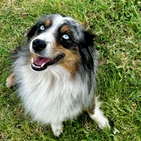 processed/542ede2c-51e9-46d8-b079-f8ab004432c0/facility/58aefa1b-bcc2-44a9-a7c0-0a7cd80896fd