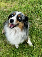 processed/542ede2c-51e9-46d8-b079-f8ab004432c0/facility/58aefa1b-bcc2-44a9-a7c0-0a7cd80896fd