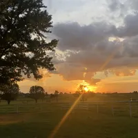 processed/542ede2c-51e9-46d8-b079-f8ab004432c0/facility/5d516e21-6f6d-44f8-8dd4-8459e86c7154