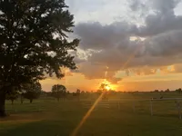 processed/542ede2c-51e9-46d8-b079-f8ab004432c0/facility/5d516e21-6f6d-44f8-8dd4-8459e86c7154