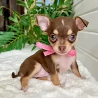 processed/542ede2c-51e9-46d8-b079-f8ab004432c0/facility/71a31054-3a6d-46cc-b218-6507baaf0529