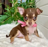 processed/542ede2c-51e9-46d8-b079-f8ab004432c0/facility/71a31054-3a6d-46cc-b218-6507baaf0529