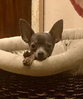 processed/542ede2c-51e9-46d8-b079-f8ab004432c0/facility/a8a3d2ab-305a-4978-8470-6c3ef89b6850