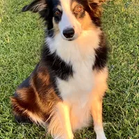 processed/542ede2c-51e9-46d8-b079-f8ab004432c0/facility/dfbe17ed-b5e7-401e-b5ef-9f1ebefaa958