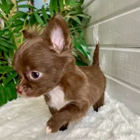 processed/542ede2c-51e9-46d8-b079-f8ab004432c0/facility/efa6a068-6a98-40b1-841c-a38d674f55c1