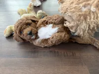 Facility photo