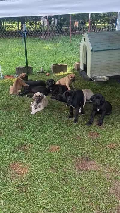 Facility video