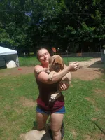 Marmaduke, a male Great Dane for sale in Grimsley, TN – 1 of 1