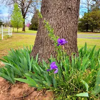 processed/5436b884-45ab-4e17-bef5-926098d712cc/facility/91fb41e8-89e6-487b-a120-5cd2d7cab06e