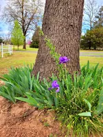 processed/5436b884-45ab-4e17-bef5-926098d712cc/facility/91fb41e8-89e6-487b-a120-5cd2d7cab06e