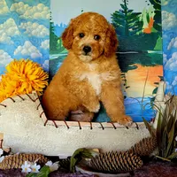 processed/5436b884-45ab-4e17-bef5-926098d712cc/facility/cb84ecfe-a851-48d3-b1fa-f60f62b04098