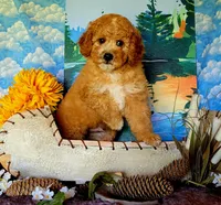 processed/5436b884-45ab-4e17-bef5-926098d712cc/facility/cb84ecfe-a851-48d3-b1fa-f60f62b04098