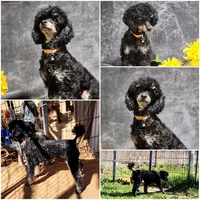 processed/5436b884-45ab-4e17-bef5-926098d712cc/listing/3cb30c7a-eba1-413d-8df4-21826b17d974/2f44ed15-56ee-43b3-8902-fcb67ef124bb