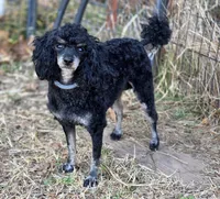 processed/5436b884-45ab-4e17-bef5-926098d712cc/listing/3cb30c7a-eba1-413d-8df4-21826b17d974/4f01b4ce-de24-4b5f-b476-d375101704a6