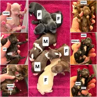 processed/5436b884-45ab-4e17-bef5-926098d712cc/listing/3cb30c7a-eba1-413d-8df4-21826b17d974/4ff36f79-5df5-46e3-b4e1-073e2bb5a4e9