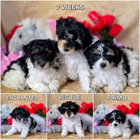 processed/5436b884-45ab-4e17-bef5-926098d712cc/listing/3cb30c7a-eba1-413d-8df4-21826b17d974/4ffd1df5-f1f5-40c6-aa61-fb7e84d96326