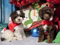 processed/5436b884-45ab-4e17-bef5-926098d712cc/listing/3cb30c7a-eba1-413d-8df4-21826b17d974/b95babae-73d4-45a8-9394-80cfe18695be