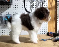 processed/5436b884-45ab-4e17-bef5-926098d712cc/listing/3cb30c7a-eba1-413d-8df4-21826b17d974/d081a1ae-663b-4454-bcbc-8a598b045c9c