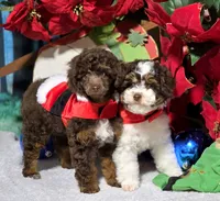 processed/5436b884-45ab-4e17-bef5-926098d712cc/listing/3cb30c7a-eba1-413d-8df4-21826b17d974/e4bf3b05-8e4d-40ae-99f3-afa1a94a808d