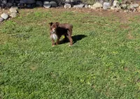 processed/5436b884-45ab-4e17-bef5-926098d712cc/listing/608ab77e-ab90-40fe-bd76-ea20e227f628/113834f4-b5b2-4522-a48b-02126ce9c1b9