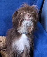 processed/5436b884-45ab-4e17-bef5-926098d712cc/listing/608ab77e-ab90-40fe-bd76-ea20e227f628/7296a7fd-840d-4e7d-a79d-da4fea24f7e2