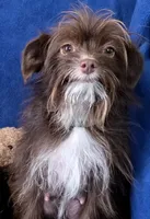 processed/5436b884-45ab-4e17-bef5-926098d712cc/listing/608ab77e-ab90-40fe-bd76-ea20e227f628/7b5f711f-dd11-4c94-9fd0-cf357352d279