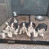 processed/54438026-b4c9-4c7f-999d-1345203a25a0/facility/14fcfe40-f9e9-4e14-bfe6-426ddec546d0