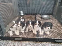 processed/54438026-b4c9-4c7f-999d-1345203a25a0/facility/14fcfe40-f9e9-4e14-bfe6-426ddec546d0