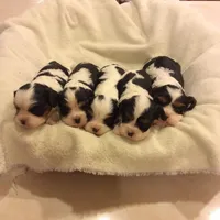 processed/54438026-b4c9-4c7f-999d-1345203a25a0/facility/c43f24b6-31fc-433c-9274-987aac5f6d74