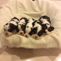 processed/54438026-b4c9-4c7f-999d-1345203a25a0/facility/c43f24b6-31fc-433c-9274-987aac5f6d74