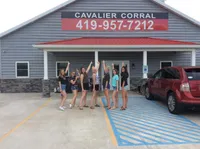 ANGEL 2, a female Cavalier King Charles Spaniel for sale in Rudolph, OH – Photo 3 of 3