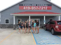 ACE 8, a male Cavalier King Charles Spaniel for sale in Rudolph, OH – Photo 3 of 3