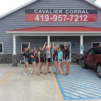 ACE 5, a male Cavalier King Charles Spaniel for sale in Rudolph, OH – Photo 3 of 3