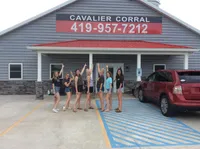 ACE 2, a male Cavalier King Charles Spaniel for sale in Rudolph, OH – Photo 3 of 3