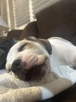 Facility photo