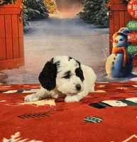 processed/54551afe-fc14-49a1-a6e6-26fd6658080f/listing/0fa77aea-0d02-43b7-91d3-4355defe291e/01ae55d6-df76-4b5e-9c49-e2d258a0b808