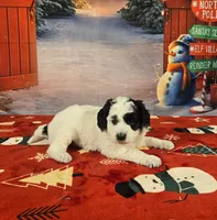 processed/54551afe-fc14-49a1-a6e6-26fd6658080f/listing/0fa77aea-0d02-43b7-91d3-4355defe291e/03e29562-9e6e-4361-87d5-7931f4edf7c1