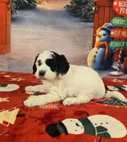 processed/54551afe-fc14-49a1-a6e6-26fd6658080f/listing/0fa77aea-0d02-43b7-91d3-4355defe291e/8994a568-ddb8-4862-8142-c50c4cbfae92