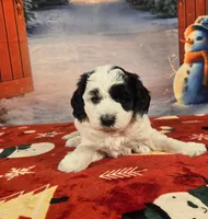 processed/54551afe-fc14-49a1-a6e6-26fd6658080f/listing/0fa77aea-0d02-43b7-91d3-4355defe291e/d409e28d-cf3b-47aa-8066-bb1430767207