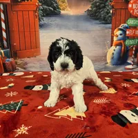 processed/54551afe-fc14-49a1-a6e6-26fd6658080f/listing/29bdbbd4-1ea1-4f82-bea3-3d69553bcd25/29e5af56-e814-4e72-b56a-039317bf5773