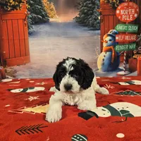 processed/54551afe-fc14-49a1-a6e6-26fd6658080f/listing/29bdbbd4-1ea1-4f82-bea3-3d69553bcd25/735df64b-36ef-4153-add4-49be232999ec