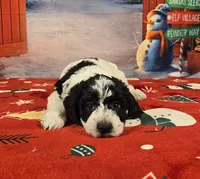 processed/54551afe-fc14-49a1-a6e6-26fd6658080f/listing/29bdbbd4-1ea1-4f82-bea3-3d69553bcd25/9b1439bd-a80b-4f54-ae33-5c2a69a2f6f5