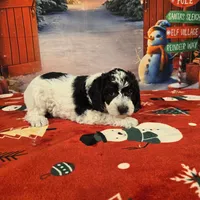 processed/54551afe-fc14-49a1-a6e6-26fd6658080f/listing/29bdbbd4-1ea1-4f82-bea3-3d69553bcd25/9f602f96-b9bb-42d2-89a8-821e20b55051